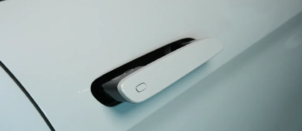 sealion7 exterior 4